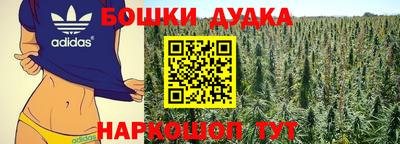 PSILOCYBIN Заволжье