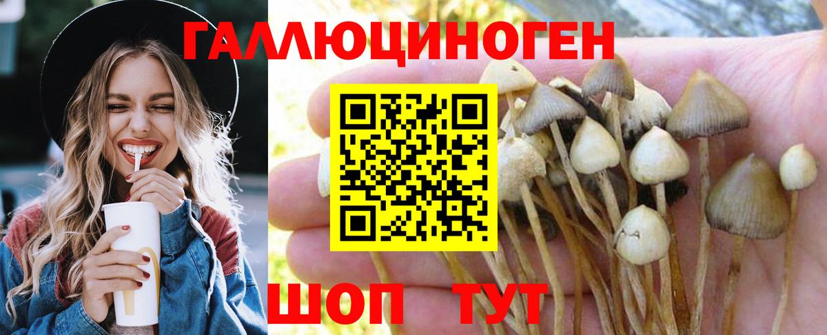 Галлюциногенные грибы MAGIC MUSHROOMS  Вход с VPN  Краснокамск 